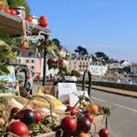 Charmante Maison A Sauzon Avec Grand Jardin, Proche Commerces Et Plage - Fr-1-418-82 Eksteriør billede